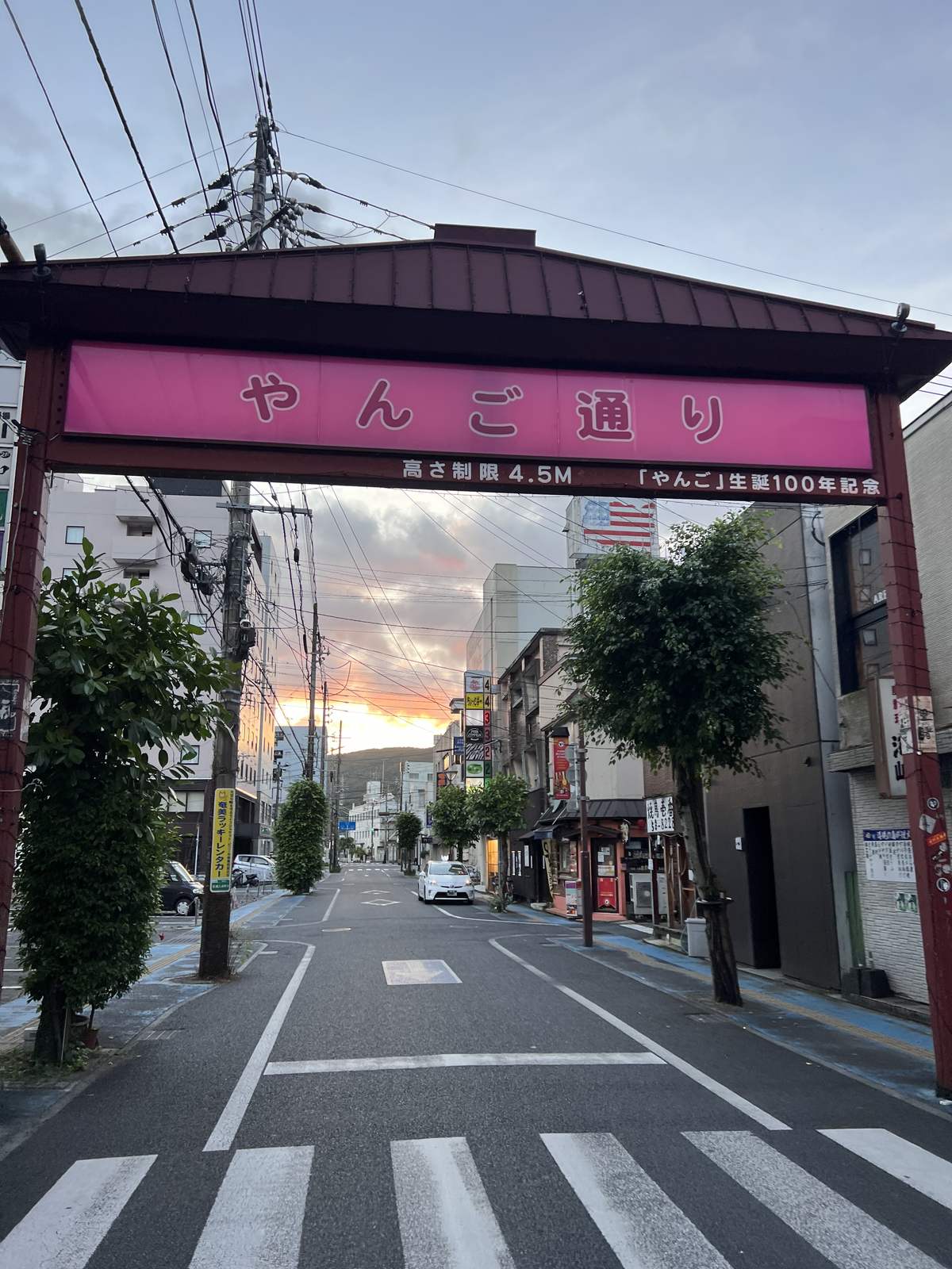 裏側は「やんご通り」と書かれたゲート