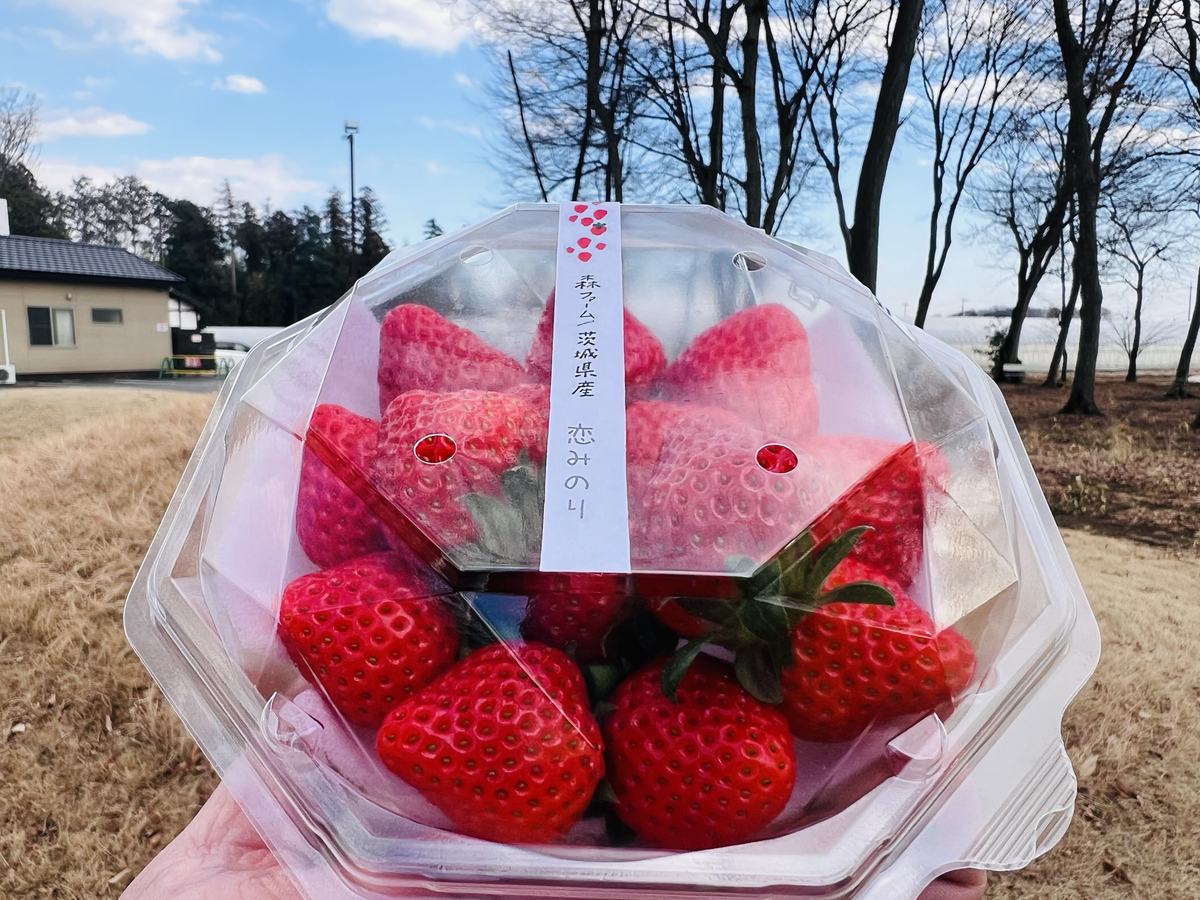 森ファーム 茨城県産 恋みのり